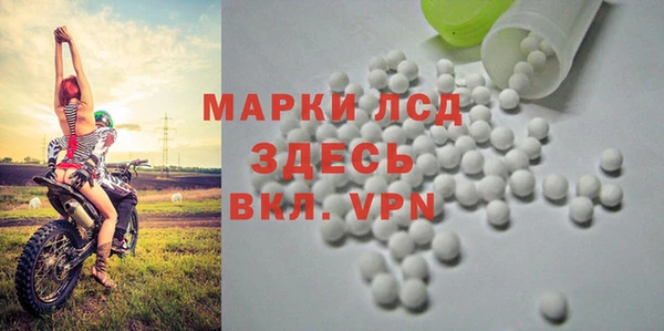 PSILOCYBIN Волосово