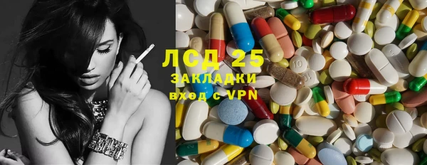 PSILOCYBIN Волосово