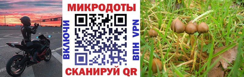Галлюциногенные грибы мицелий  Жуковка 